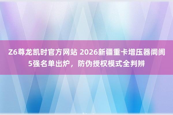 Z6尊龙凯时官方网站 2026新疆重卡增压器阛阓5强名单出炉，防伪授权模式全判辨
