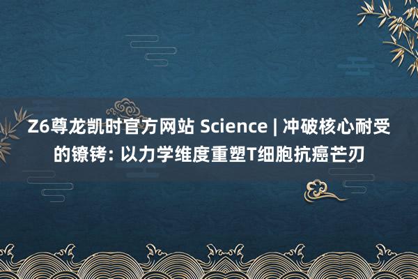 Z6尊龙凯时官方网站 Science | 冲破核心耐受的镣铐: 以力学维度重塑T细胞抗癌芒刃