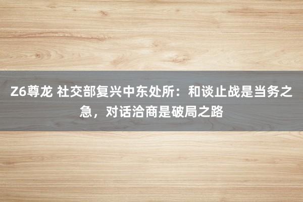 Z6尊龙 社交部复兴中东处所：和谈止战是当务之急，对话洽商是破局之路