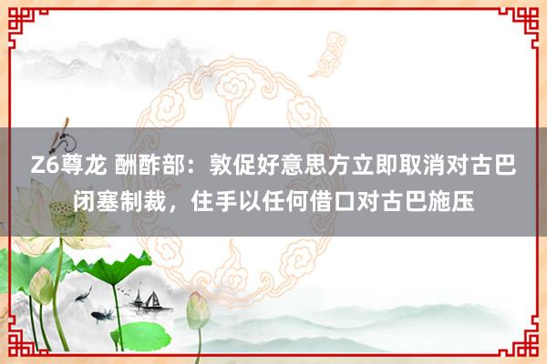 Z6尊龙 酬酢部：敦促好意思方立即取消对古巴闭塞制裁，住手以任何借口对古巴施压
