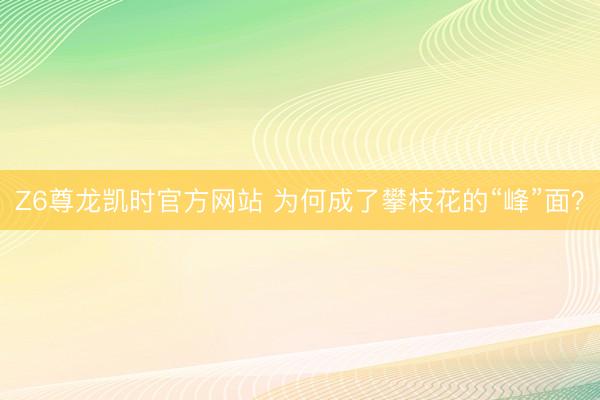 Z6尊龙凯时官方网站 为何成了攀枝花的“峰”面？