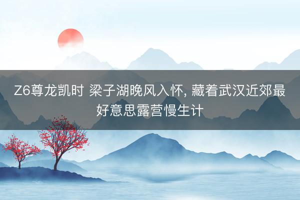 Z6尊龙凯时 梁子湖晚风入怀， 藏着武汉近郊最好意思露营慢生计