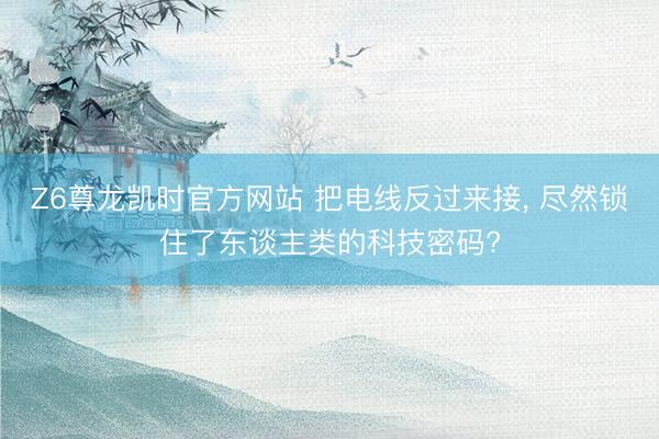 Z6尊龙凯时官方网站 把电线反过来接， 尽然锁住了东谈主类的科技密码?