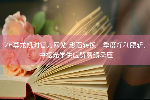 Z6尊龙凯时官方网站 影石转换一季度净利腰斩， 中枢光学供应贸易绩承压
