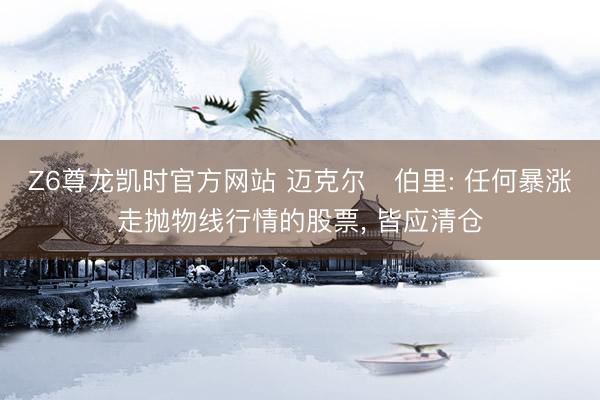 Z6尊龙凯时官方网站 迈克尔・伯里: 任何暴涨走抛物线行情的股票， 皆应清仓
