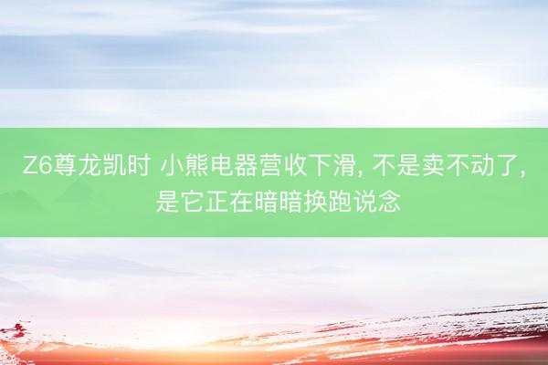 Z6尊龙凯时 小熊电器营收下滑， 不是卖不动了， 是它正在暗暗换跑说念