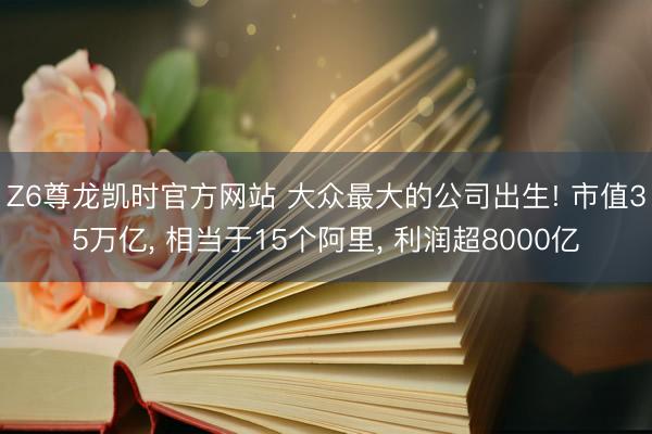 Z6尊龙凯时官方网站 大众最大的公司出生! 市值35万亿， 相当于15个阿里， 利润超8000亿