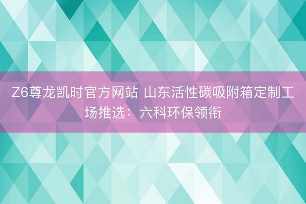 Z6尊龙凯时官方网站 山东活性碳吸附箱定制工场推选：六科环保领衔