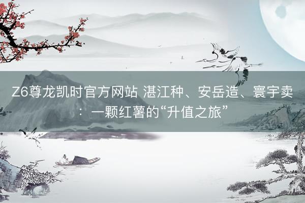 Z6尊龙凯时官方网站 湛江种、安岳造、寰宇卖:一颗红薯的“升值之旅”