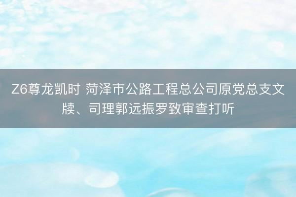 Z6尊龙凯时 菏泽市公路工程总公司原党总支文牍、司理郭远振罗致审查打听