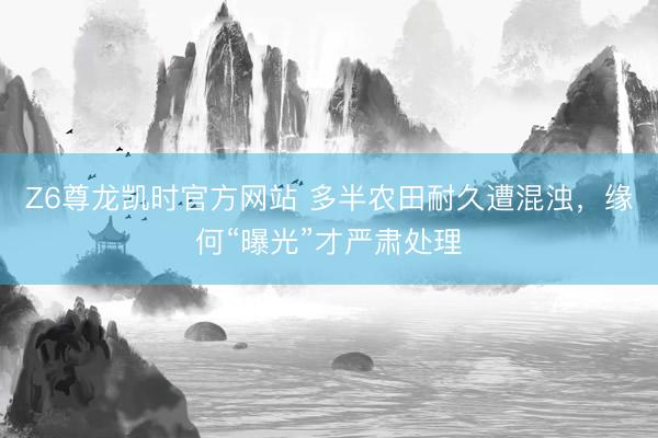 Z6尊龙凯时官方网站 多半农田耐久遭混浊，缘何“曝光”才严肃处理