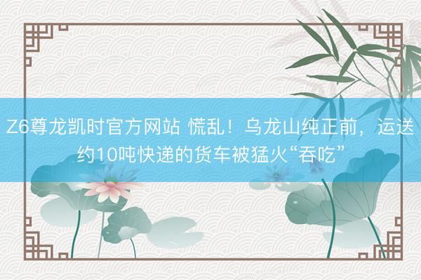 Z6尊龙凯时官方网站 慌乱！乌龙山纯正前，运送约10吨快递的货车被猛火“吞吃”
