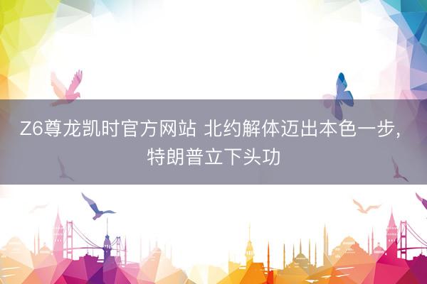 Z6尊龙凯时官方网站 北约解体迈出本色一步， 特朗普立下头功