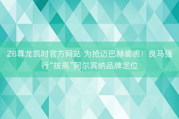 Z6尊龙凯时官方网站 为抢迈巴赫阛阓！良马强行“拔高”阿尔宾纳品牌定位