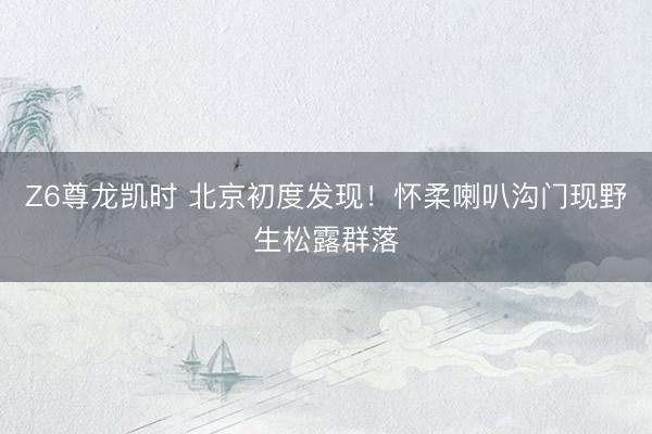 Z6尊龙凯时 北京初度发现！怀柔喇叭沟门现野生松露群落