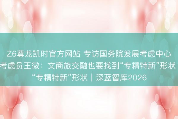 Z6尊龙凯时官方网站 专访国务院发展考虑中心市场经济考虑所考虑员王微：文商旅交融也要找到“专精特新”形状｜深蓝智库2026