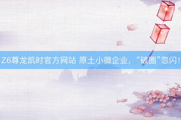 Z6尊龙凯时官方网站 原土小微企业，“破圈”忽闪！