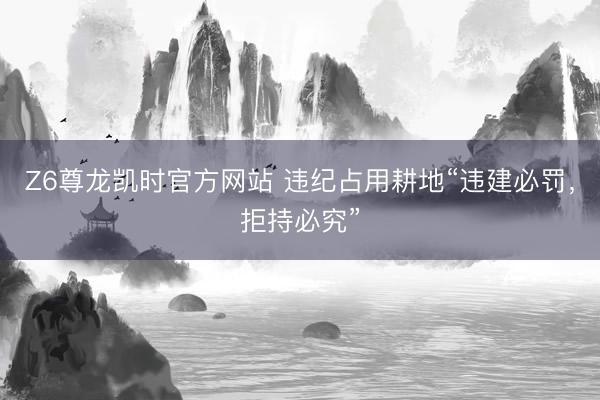 Z6尊龙凯时官方网站 违纪占用耕地“违建必罚，拒持必究”