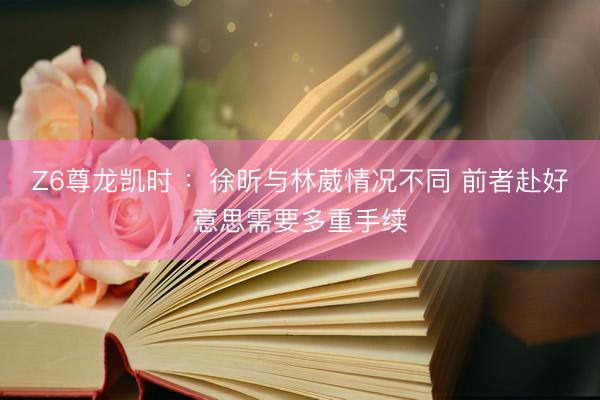 Z6尊龙凯时 ：徐昕与林葳情况不同 前者赴好意思需要多重手续