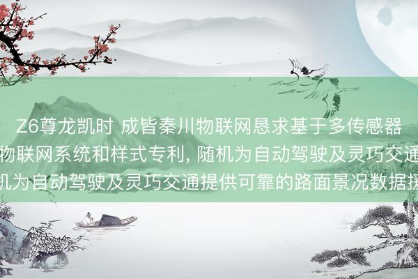 Z6尊龙凯时 成皆秦川物联网恳求基于多传感器的说念路摩擦动态反演物联网系统和样式专利， 随机为自动驾驶及灵巧交通提供可靠的路面景况数据援救
