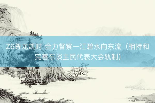 Z6尊龙凯时 合力督察一江碧水向东流（相持和完善东谈主民代表大会轨制）