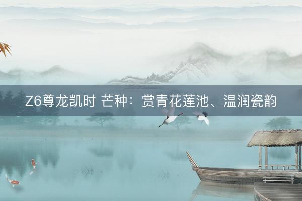 Z6尊龙凯时 芒种：赏青花莲池、温润瓷韵