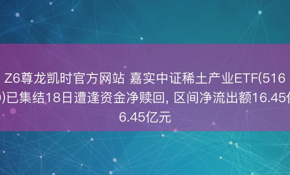 Z6尊龙凯时官方网站 嘉实中证稀土产业ETF(516150)已集结18日遭逢资金净赎回， 区间净流出额16.45亿元