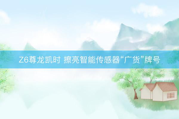 Z6尊龙凯时 擦亮智能传感器“广货”牌号