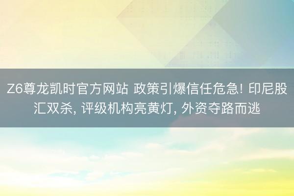 Z6尊龙凯时官方网站 政策引爆信任危急! 印尼股汇双杀， 评级机构亮黄灯， 外资夺路而逃
