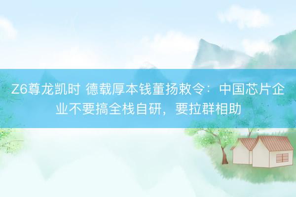 Z6尊龙凯时 德载厚本钱董扬敕令：中国芯片企业不要搞全栈自研，要拉群相助