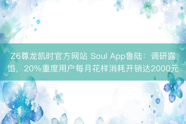 Z6尊龙凯时官方网站 Soul App鲁陆:调研露馅,20%重度用户每月花样消耗开销达2000元