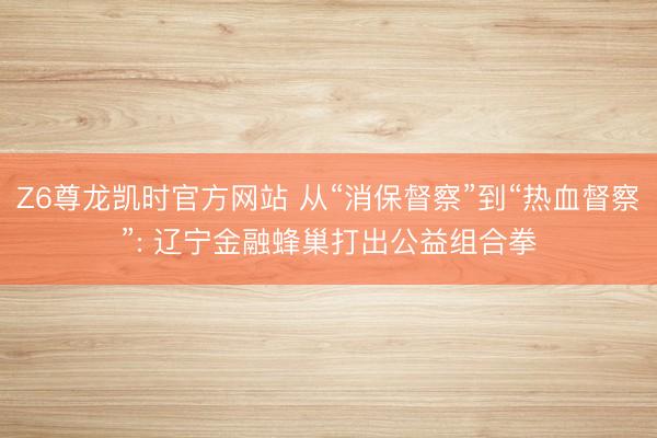 Z6尊龙凯时官方网站 从“消保督察”到“热血督察”: 辽宁金融蜂巢打出公益组合拳