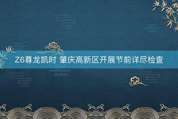 Z6尊龙凯时 肇庆高新区开展节前详尽检查