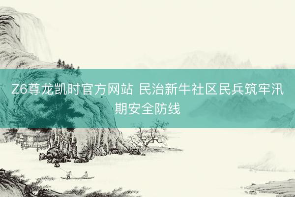 Z6尊龙凯时官方网站 民治新牛社区民兵筑牢汛期安全防线