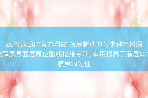 Z6尊龙凯时官方网站 特威新动力肯求锂电板固态电解质界面层原位酿成措施专利， 有用提高了膜层均匀性