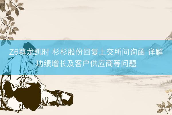 Z6尊龙凯时 杉杉股份回复上交所问询函 详解功绩增长及客户供应商等问题