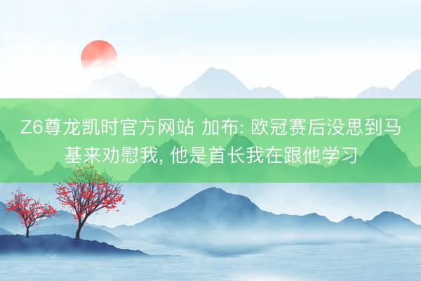 Z6尊龙凯时官方网站 加布: 欧冠赛后没思到马基来劝慰我， 他是首长我在跟他学习