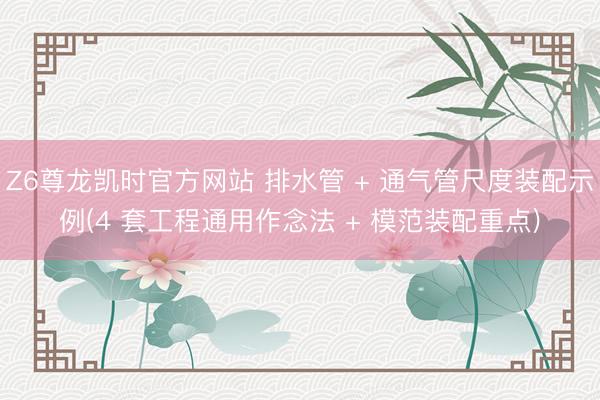 Z6尊龙凯时官方网站 排水管 + 通气管尺度装配示例(4 套工程通用作念法 + 模范装配重点)